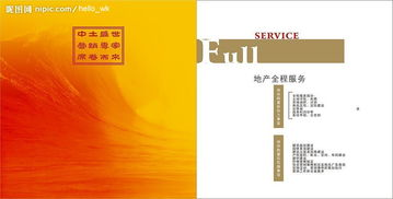 房地產(chǎn)營銷公司畫冊 塑造品牌視覺，鑄就銷售傳奇